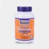 NOW Acetyl L-Carnitine -Never backdown 23748 grey