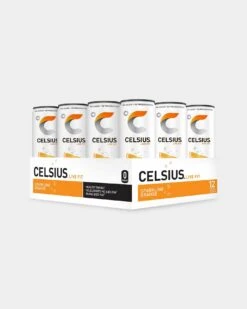CELSIUS Energy Drink -Never backdown CEL4810077 grey
