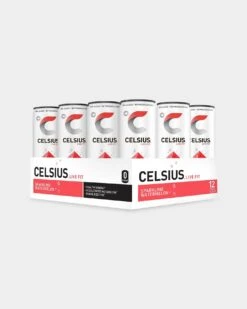 CELSIUS Energy Drink -Never backdown CEL4810078 grey