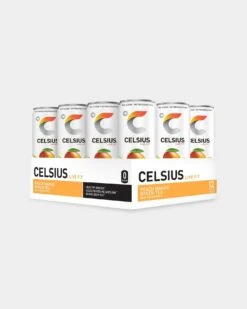 CELSIUS Energy Drink -Never backdown CEL4810079 grey