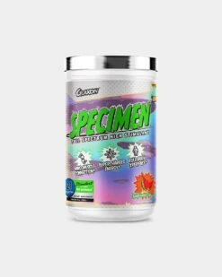 Glaxon Specimen 11 Glaxon Specimen -Never backdown GLAX6370146 grey