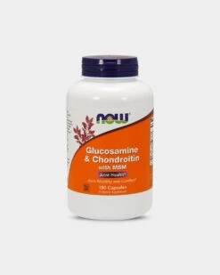 NOW Glucosamine & Chondroitin With MSM -Never backdown NOW206 grey