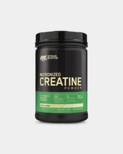 Optimum Nutrition Micronized Creatine Powder -Never backdown OPT350 grey