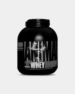 Animal Whey Protein 39 Animal Whey Protein -Never backdown UNIV2960005 grey