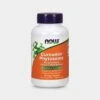 NOW Bio-Curcumin Phytosome -Never backdown prod1270028 grey